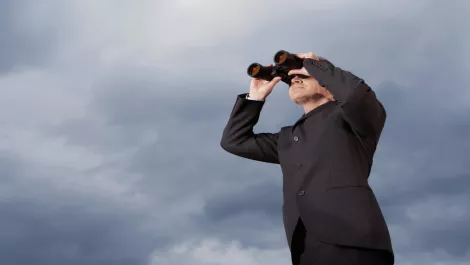 IRD seeking local analytics provider following $25m content management deal
