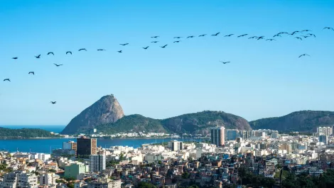 Aussie software insights firm scores lucrative deal with Brazilian shopping centre group
