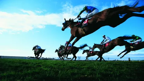 Spark digitally transforms NZRB in time for summer racing season