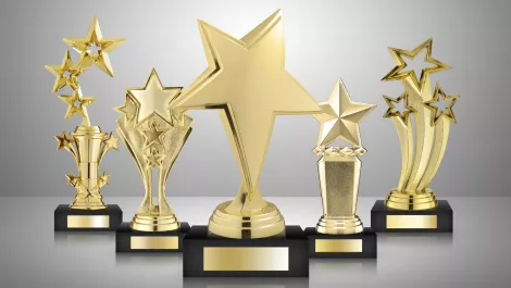 Ingram Micro, DiData, Brennan IT among the winners at Veeam ProPartner Awards