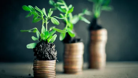 'Staggering' growth in Asia as Veeam posts record results