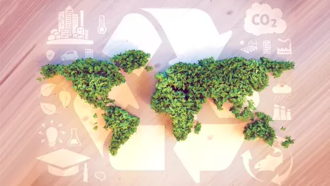 Schools invited to save the environment with digital tech