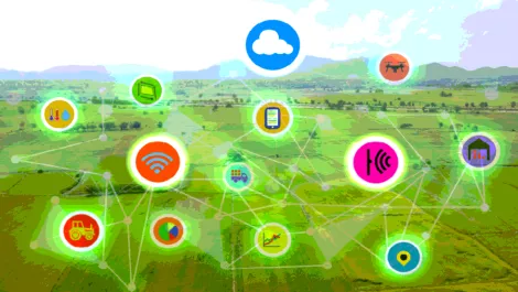 Joint venture with key partners begins roll out of IoT to Aussie farmers
