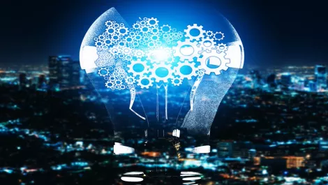 How to find out the true value of network risk reduction