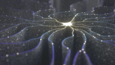 Kiwi company paving the way to brave new AI world – PwC report