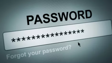 Kiwis, never forget your password again with the Mycena app