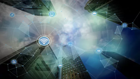 Interview: Vodafone on animal welfare & how IoT can reduce NZ's digital divide