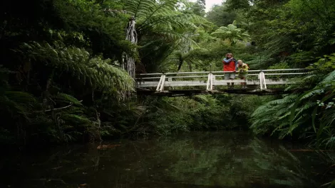 New tech gives NZ tourism industry more insight into visitor travel patterns