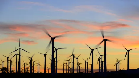 80,000 Aussies say goodbye to fossil fuels with a new south Australian wind farm