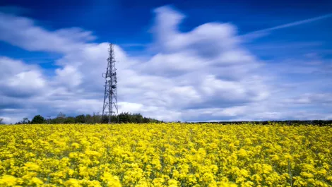 2degrees names Chorus the primary provider of national backhaul
