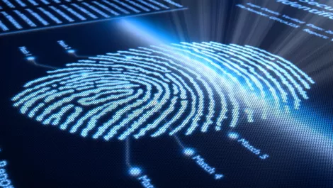 All Samsung phones will now have fingerprint scanners, yes, even the low-range ones