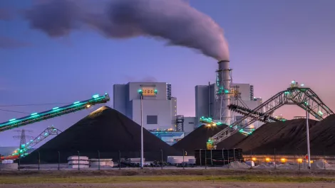 The Green Party plans on stomping out the flames of re-carbonisation