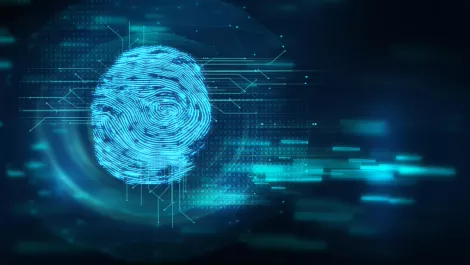SailPoint provide Identity for VMware Workspace ONE