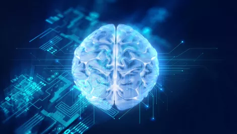 The rise of AI: should we be scared or ecstatic?