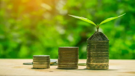 Akina Foundation launches Impact Investment Report
