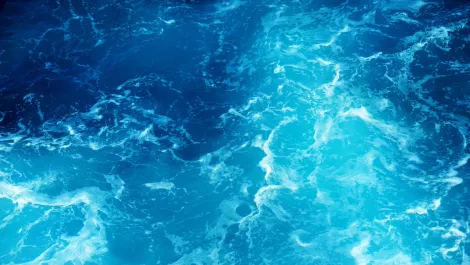 NZ-AU subsea cable names data center for U.S point of presence