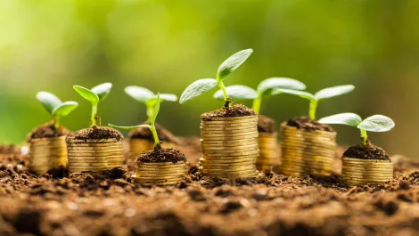 $7 million investment boost for Kiwi SaaS company