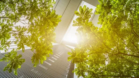 Schneider Electric forms green partnership with logistics company