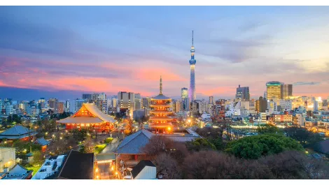 Japan firm Nihon Cornet to deliver BlackRidge next-gen cybersecurity