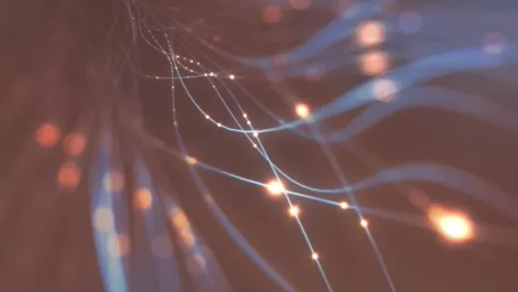 NEC contributes to virtualized network ecosystem
