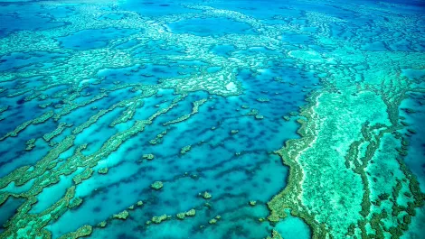 Data for good: Using data to help preserve our world