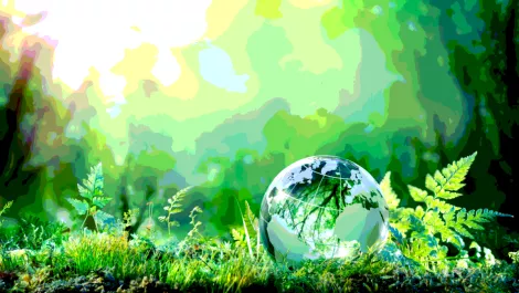 Earth Day: Tech bigwigs share how they're taking care of the planet