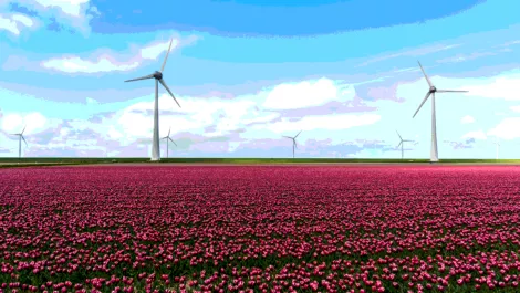 Despite data centre surge, Dutch minister says no shortage of power