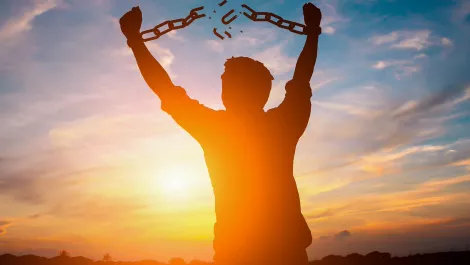 Vulnerability, breach, and patch: Break the vicious cycle
