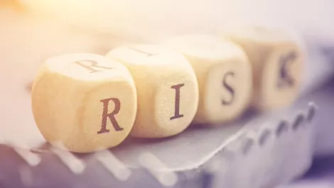 Interview: Leadership in crisis management and corporate risk avoidance