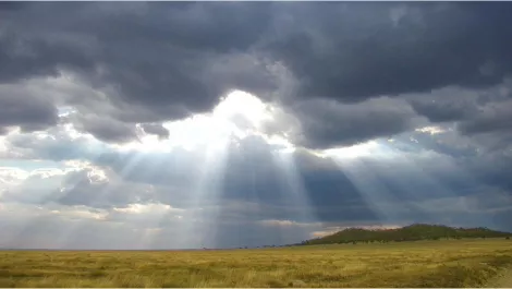 Service providers must act now to stay relevant in a cloud-first world