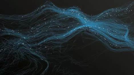 Understanding your data: How to drive insight from raw numbers