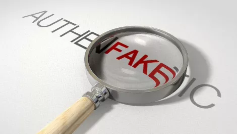 Europol cracks down on counterfeit sites; arrests 12 people