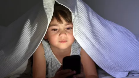 The online content that gives Kiwis concern