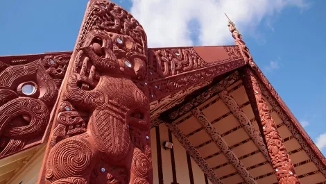 NZ's Maori innovators are on the rise
