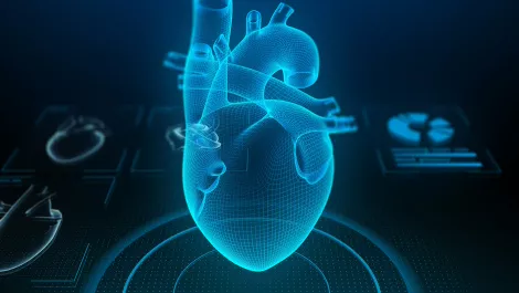 How AI could help cardiologists detect heart defects