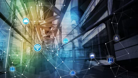 Users choosing more competitive fibre deals – report