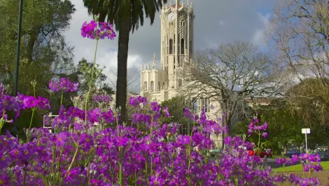 University of Auckland signs deal with Dropbox to drive collaborative research