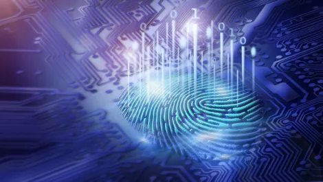 NEC named Frost & Sullivan Biometrics Company of the Year