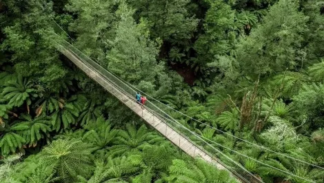 How process automation improves efficiency for Parks Victoria
