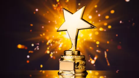BayCom scoops NEC channel partner award