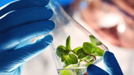 How big data is enhancing the worlds food chain