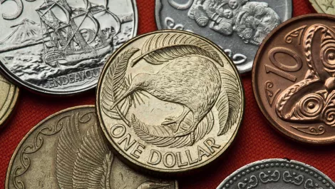 Spark Foundation puts Givealittle up for sale