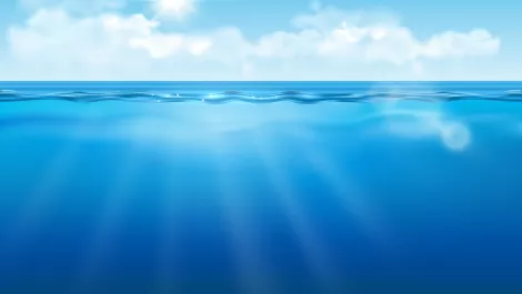 Master stroke: Swimming Australia looks to AWS for cloud and analytics