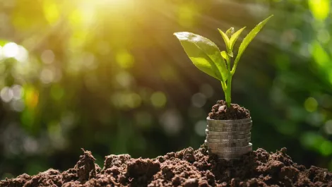 'Wealth economy' key to measuring economic growth – University of Cambridge