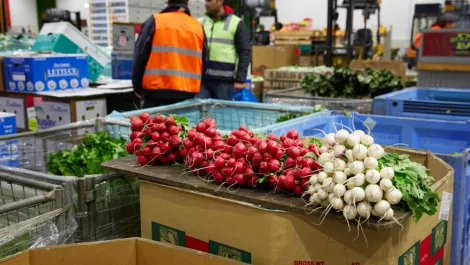 Fresho: The supply chain tech tackling NZ's food waste problem