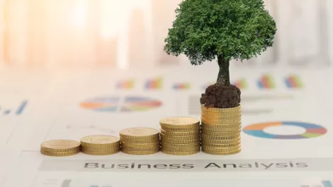 Spark lifts earnings on the back of mobile, wireless, cloud services