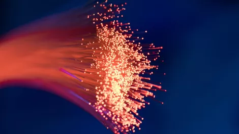 Mellanox & Guardicore deliver agentless micro-segmentation for high-speed networks