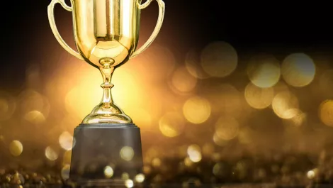 Ingram Micro distributor of the year for Lenovo