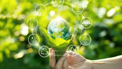 Sustainability issues prevalent in the IT industry