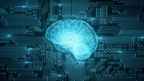 Who will win and who will lose in an AI-driven economy?